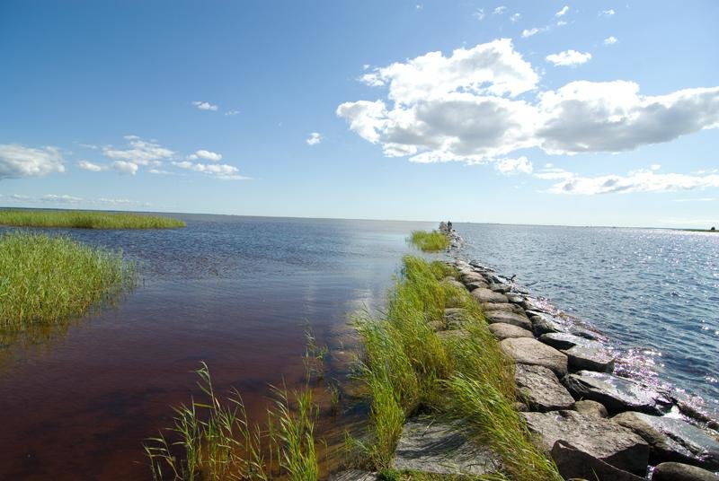 горьковское море водохранилище фото