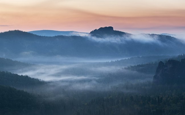 лес горы туман фото
