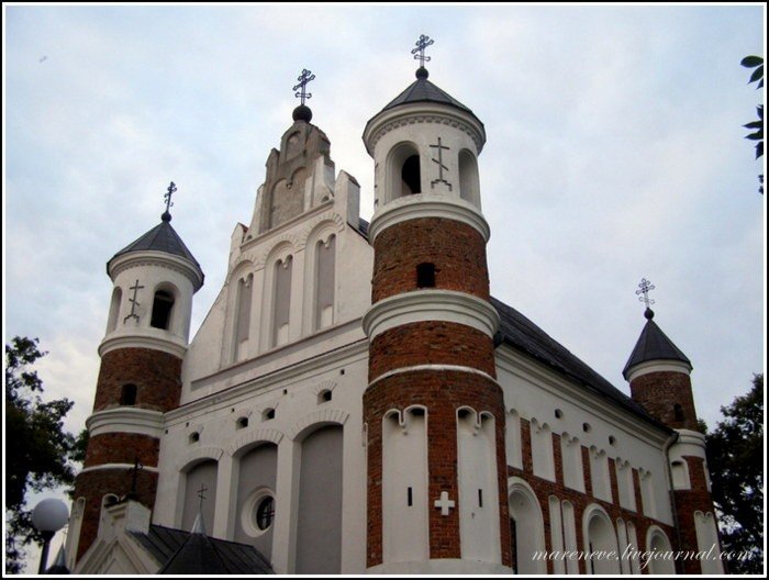 мурованка фото