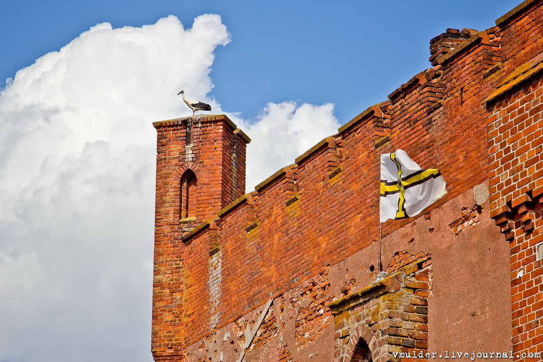 Шаакен замок калининград: фото, изображения и картинки