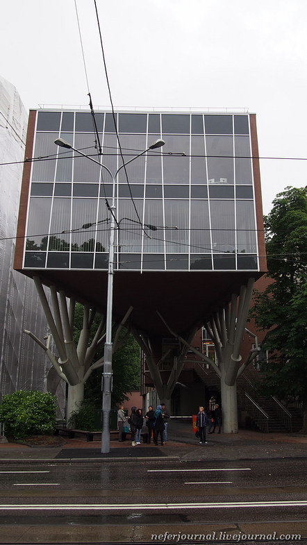 рем колхас broad museum фото