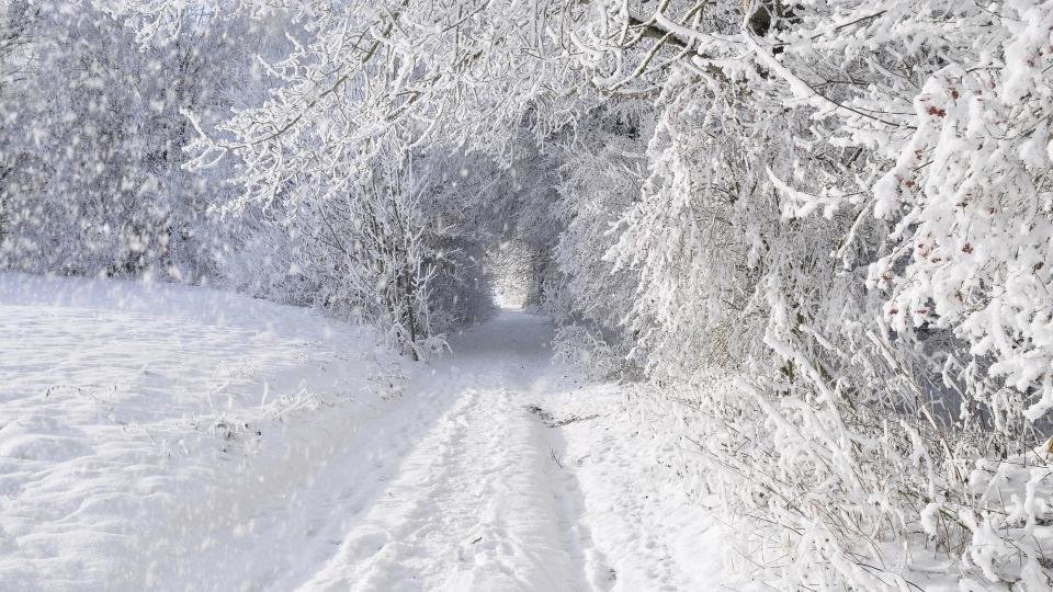 зимняя дорога фото