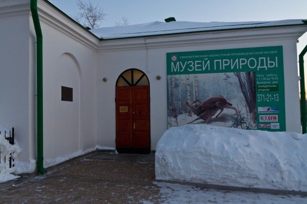 музей природы екатеринбург фото