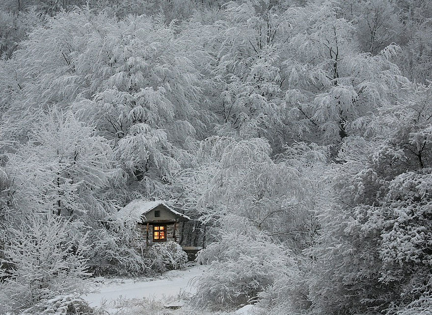 избушка в зимнем лесу фото