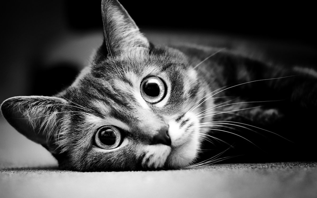 �������� �������� � ����� �����