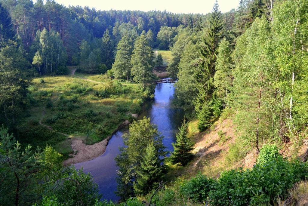 дзукийский национальный парк литва фото