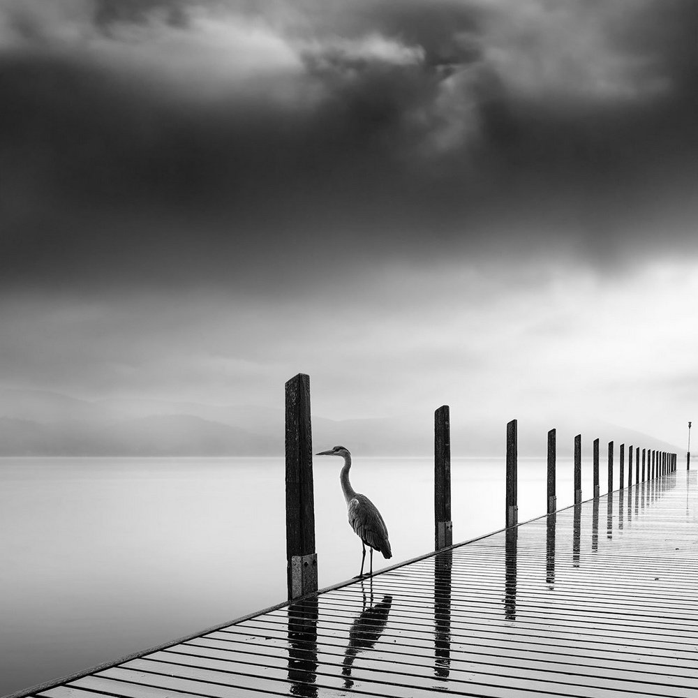 черно белые пейзажи фото