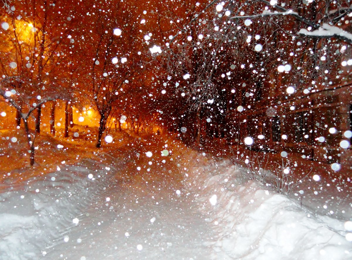 Ночь идет снег картинки