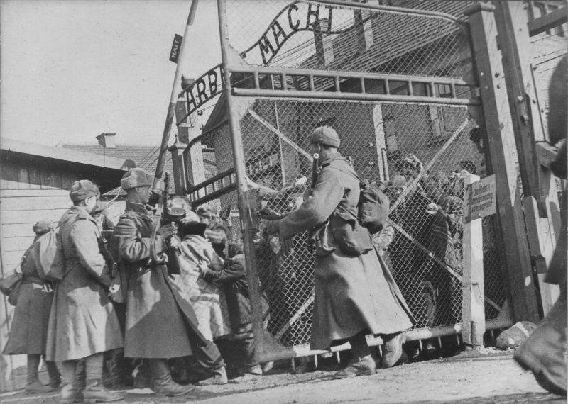 освобождение узников освенцима 1945 фото