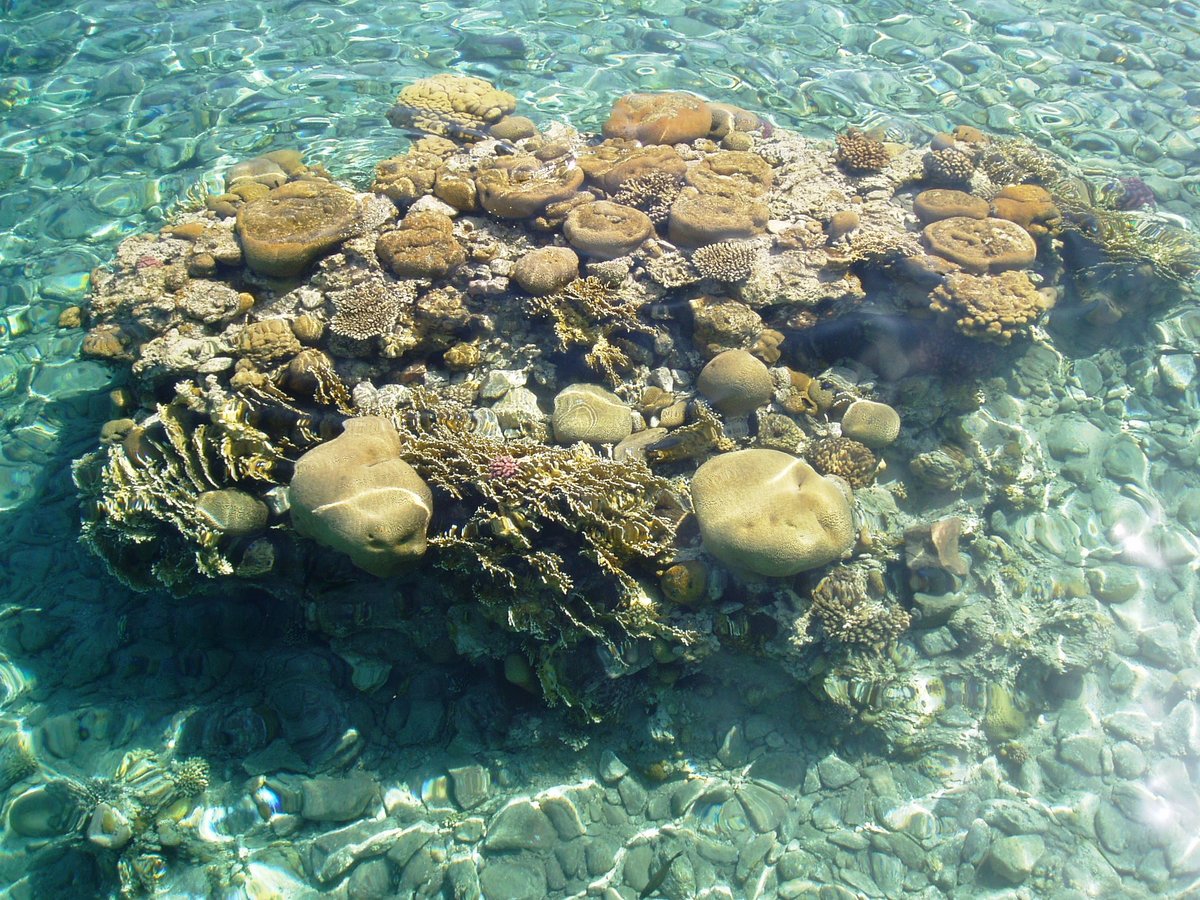 красное море фото