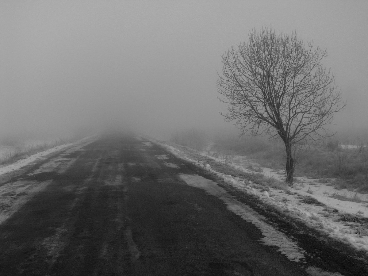 туман дорога фото
