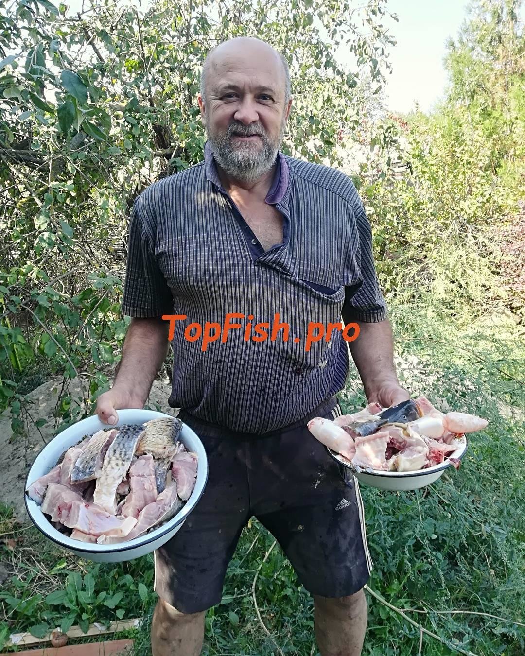 ловля донской селедки фото