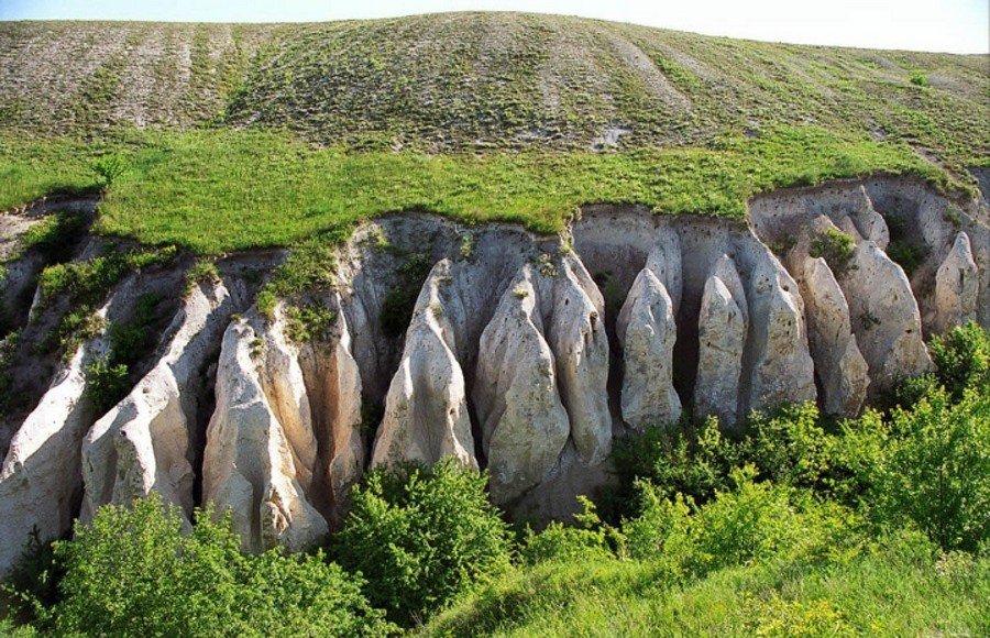 музей заповедник дивногорье фото