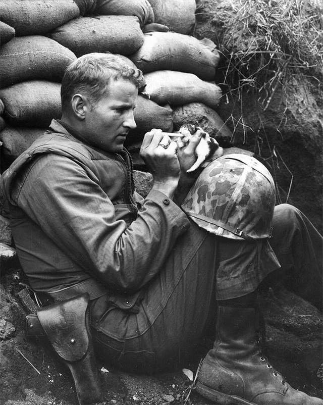 солдаты в окопах война 1941-1945 фото