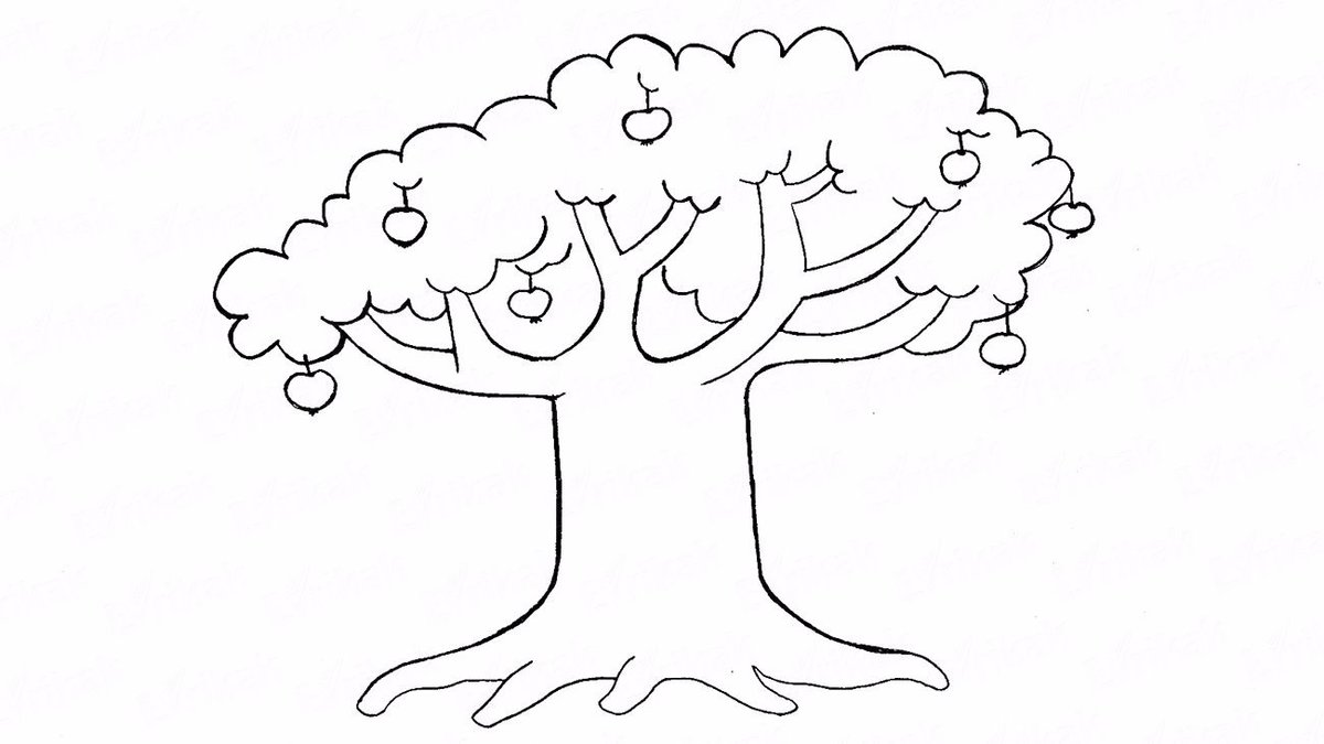 Как нарисовать дуб легко