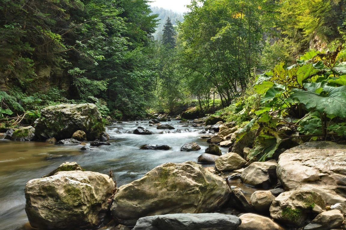 горная речка фото