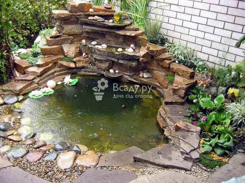 искусственный водоем на даче своими руками фото