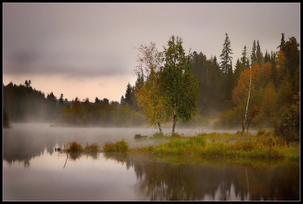 пейзаж туман фото