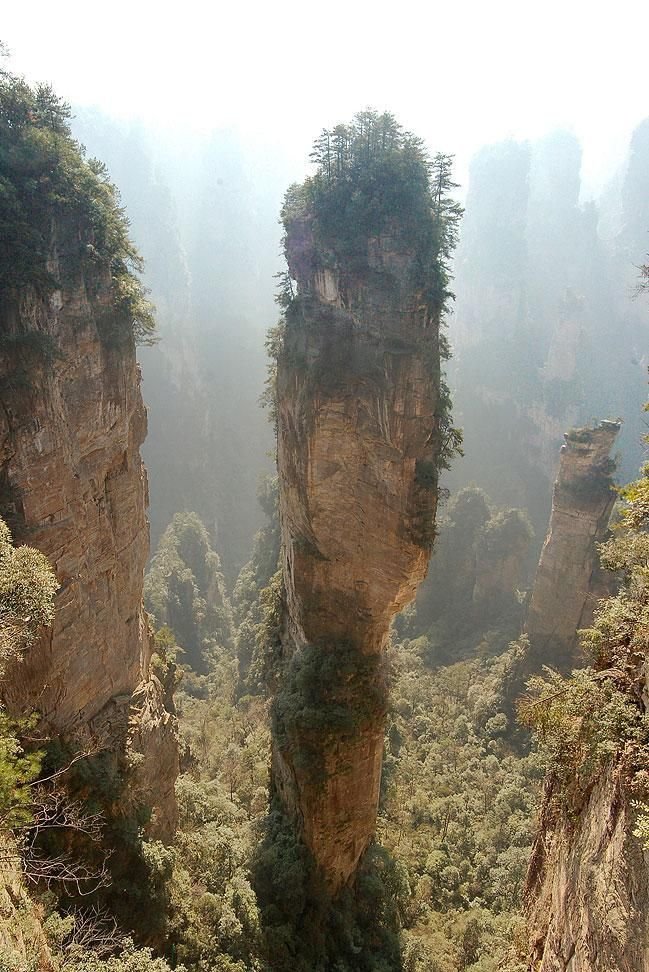 чжанцзяцзе национальный лесной парк фото