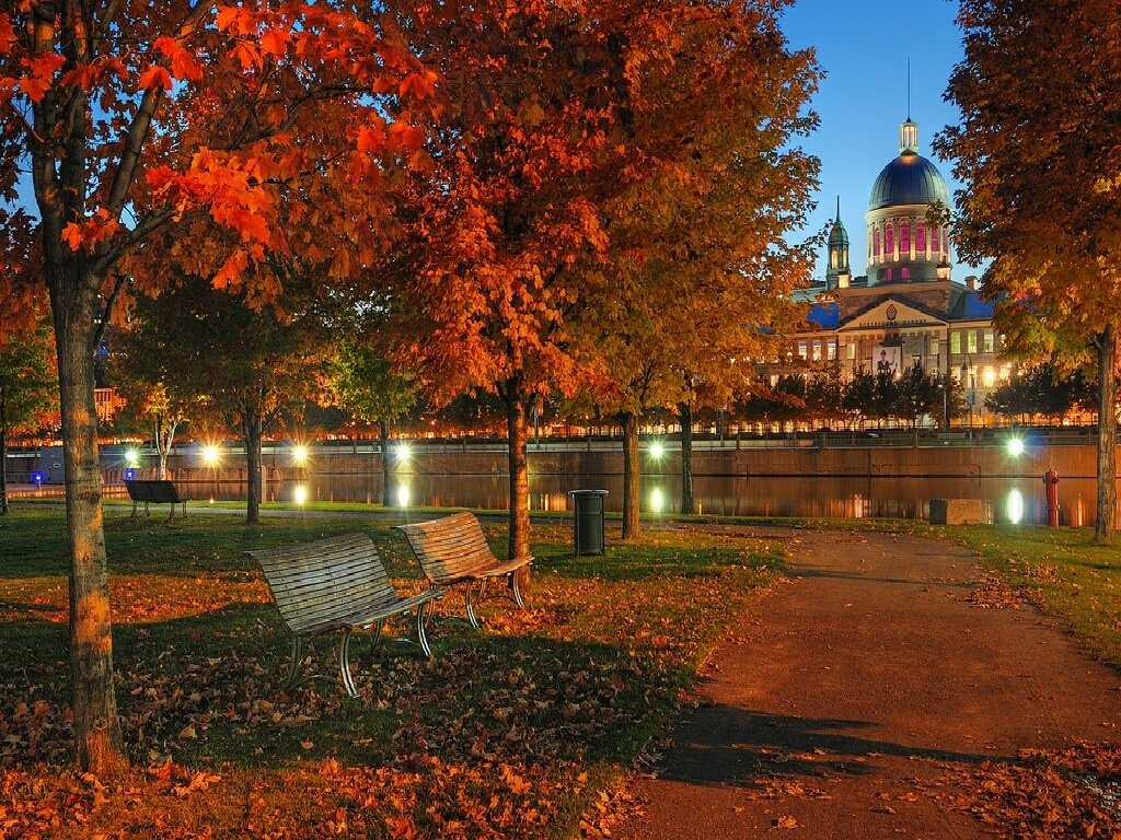 осень монреаль парк фото
