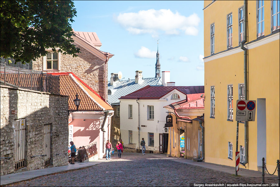 таллин старый город фото