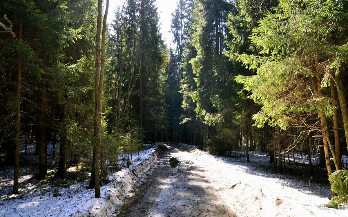 ранняя весна фото
