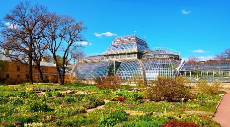 ботанический сад петра великого в санкт петербурге фото