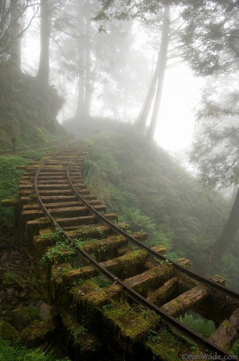 заброшенная горная железная дорога, тайвань. фото