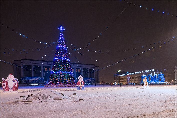 новогодняя ель фото