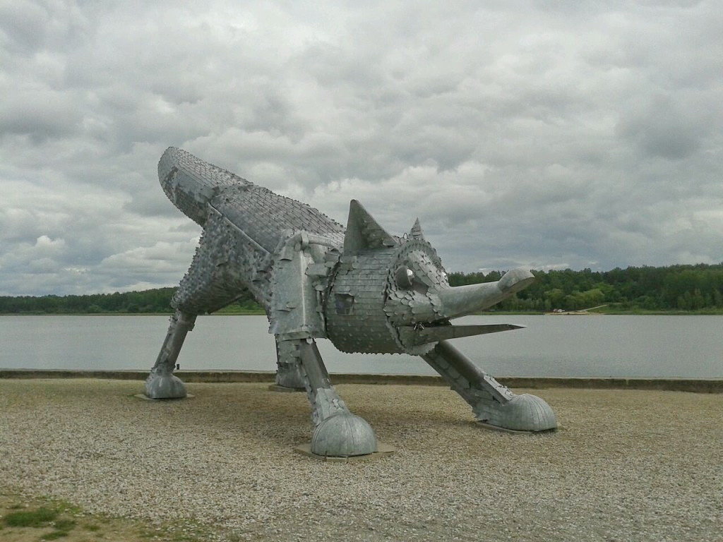 лиса шауляй фото