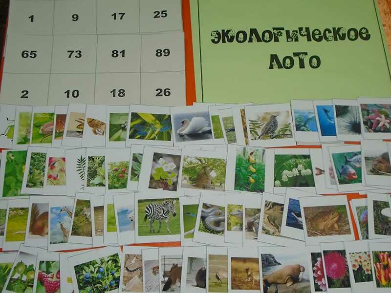 экологическое лото фото