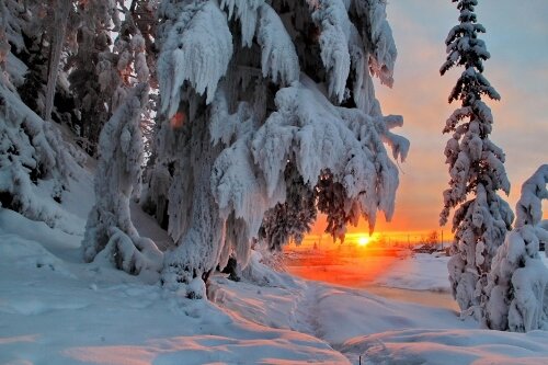 зима красота фото