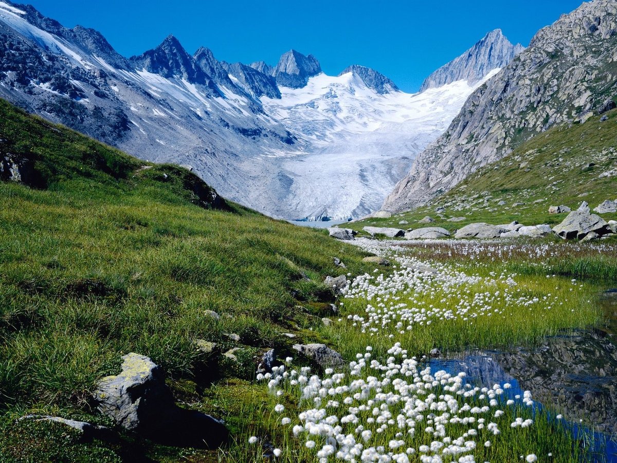 альпийские луга швейцария фото
