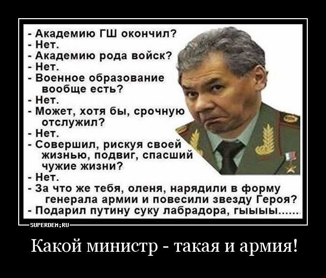 шойгу брежнев фото