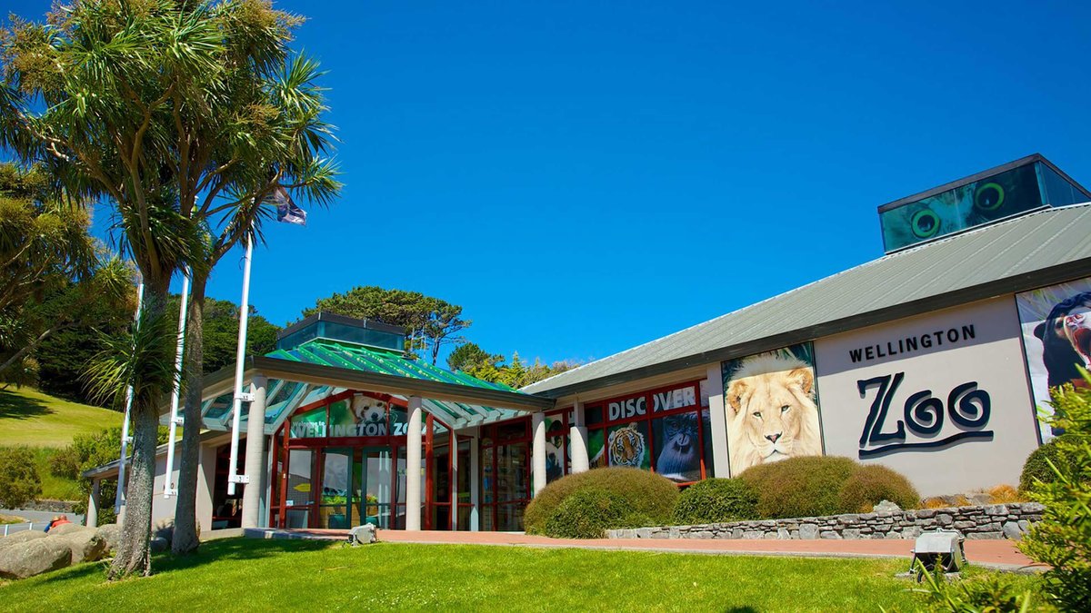 wellington zoo веллингтон фото