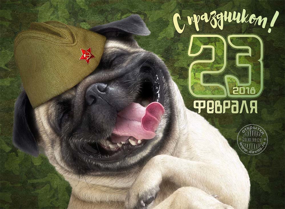 Открытки от яндекса 23 февраля