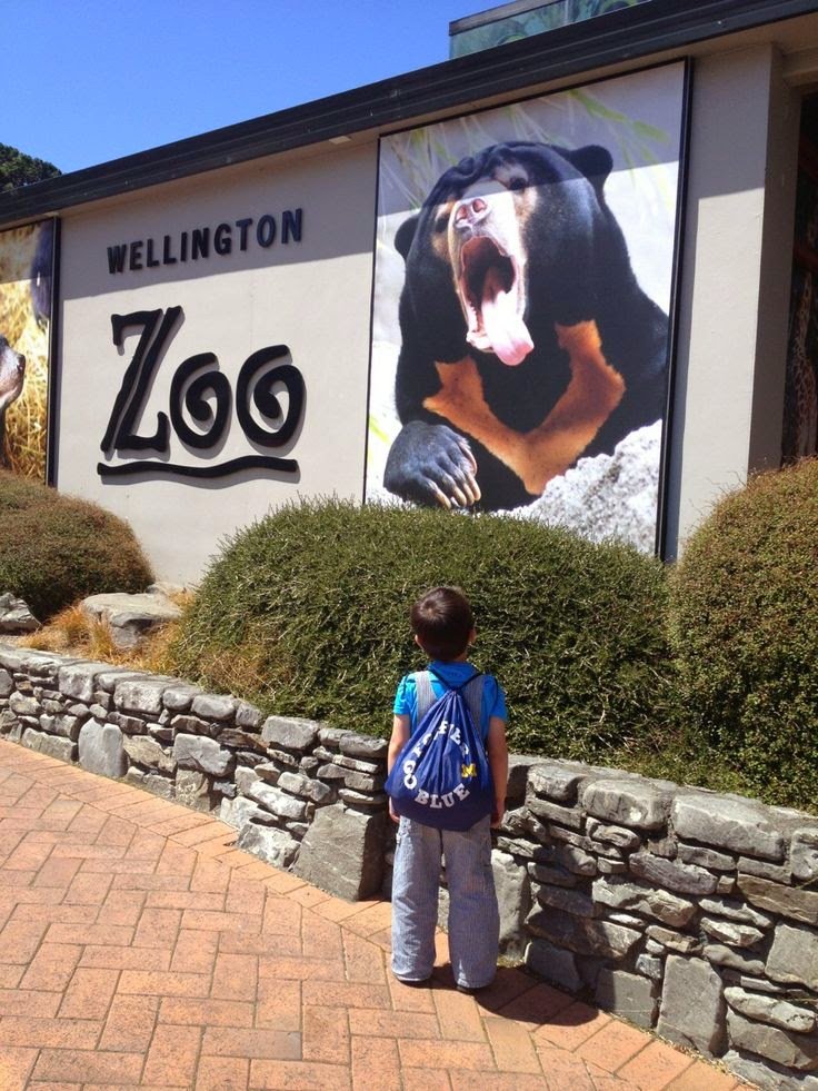 wellington zoo веллингтон фото