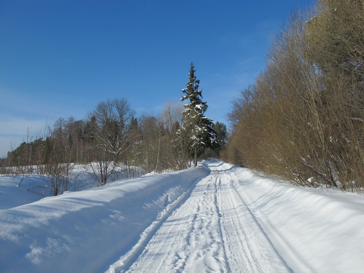 проселочная дорога зима фото