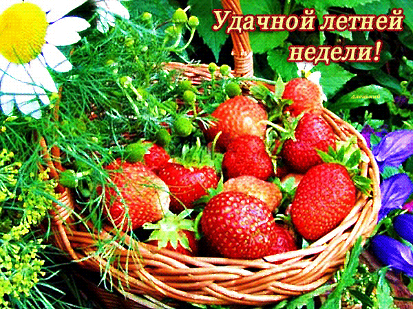 Удачной летней недели !