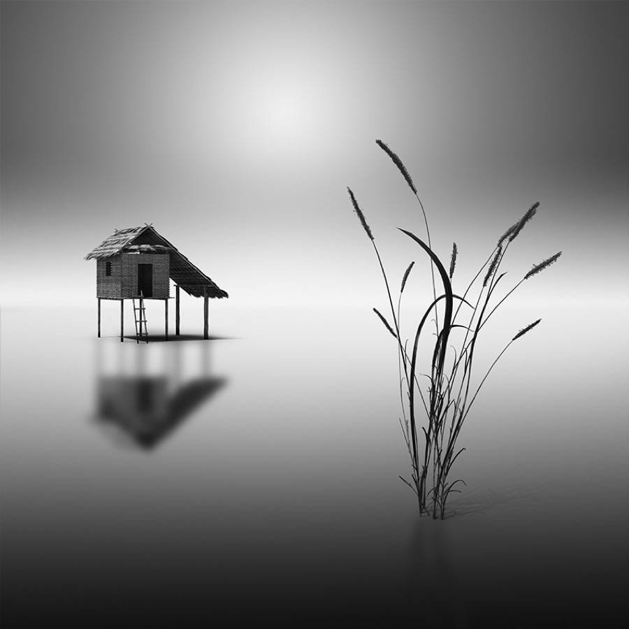 vassilis tangoulis фото