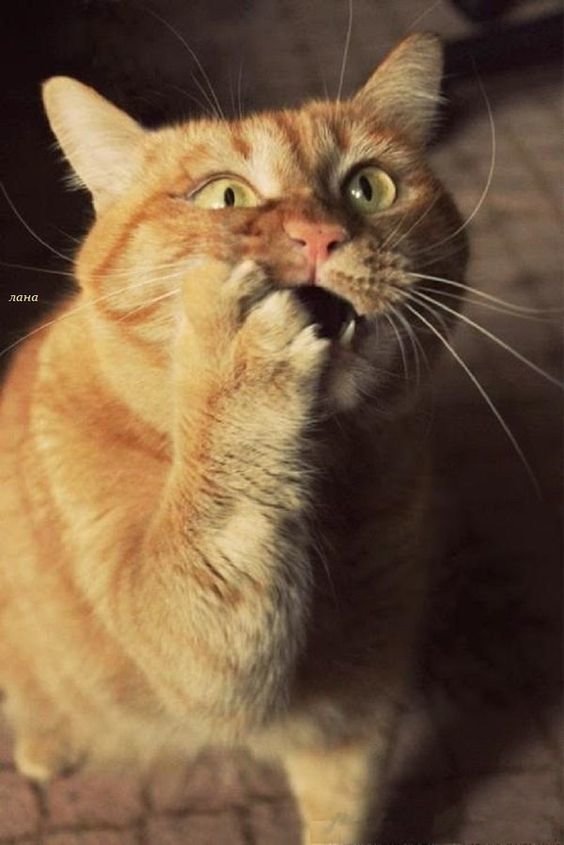 ������� �������� � ��������� � � ������