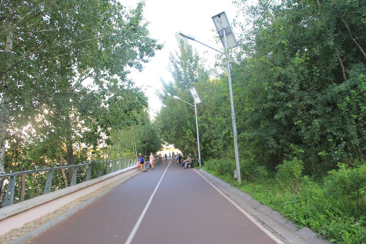дорога фото