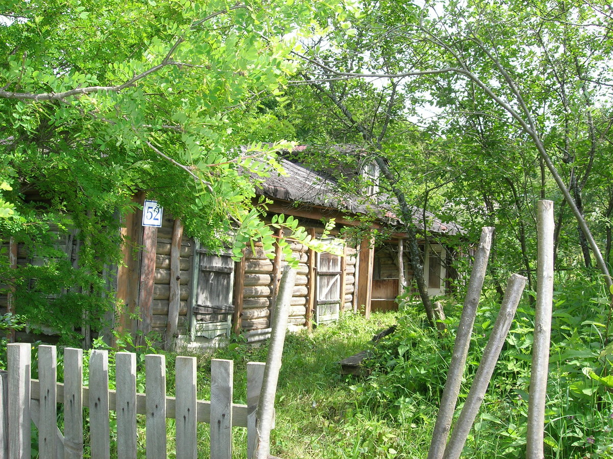 дом в селе фото