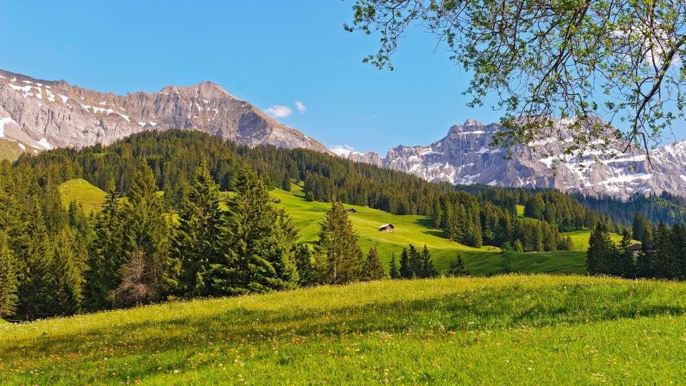 альпийские луга германии фото