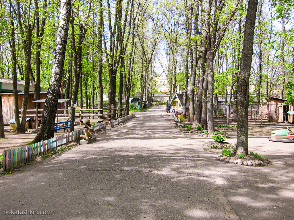 витебский зоопарк фото