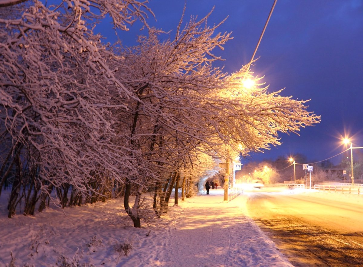 Зима В Городе Фото Красивые