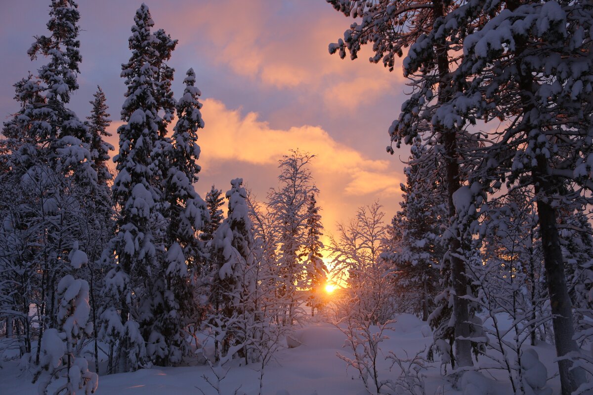 зимний пейзаж фото