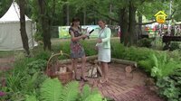 дорожки на даче фото