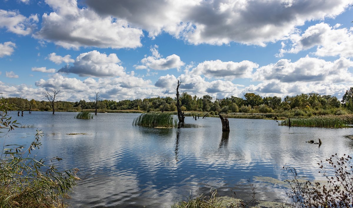 реки фото