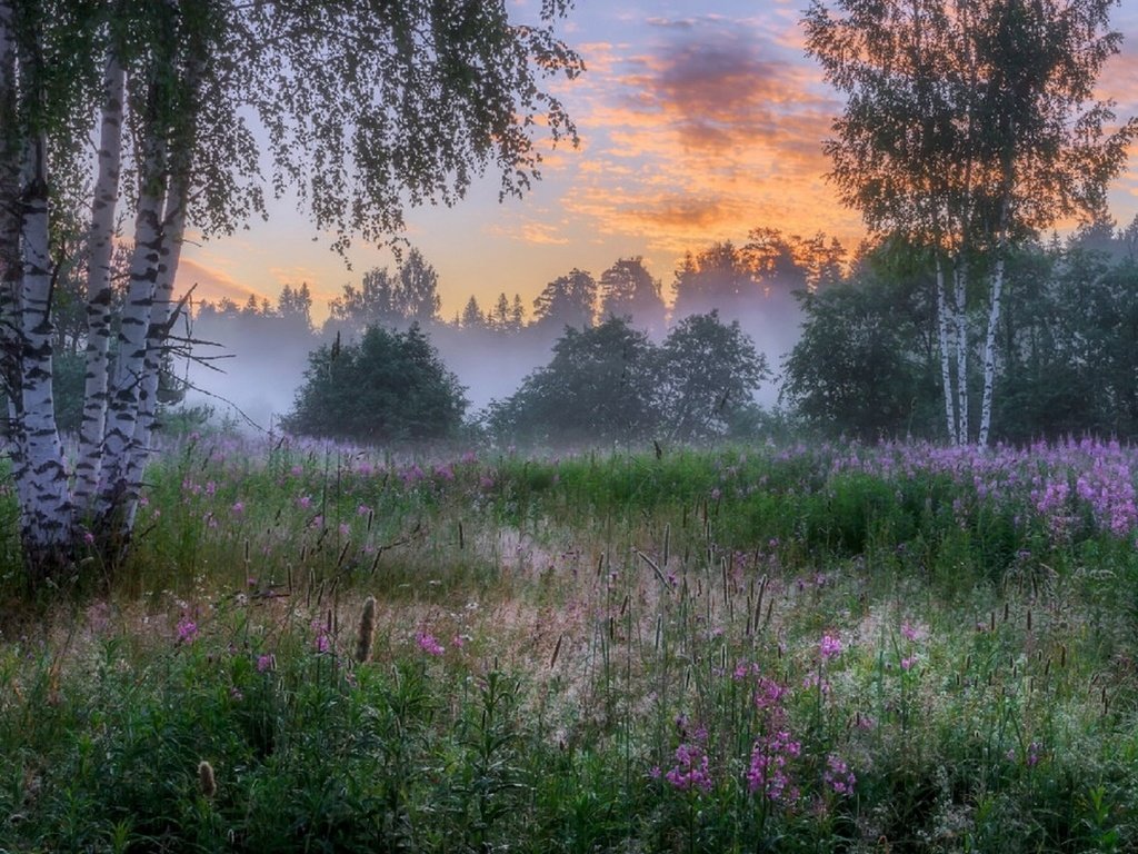 весенний рассвет в лесу фото